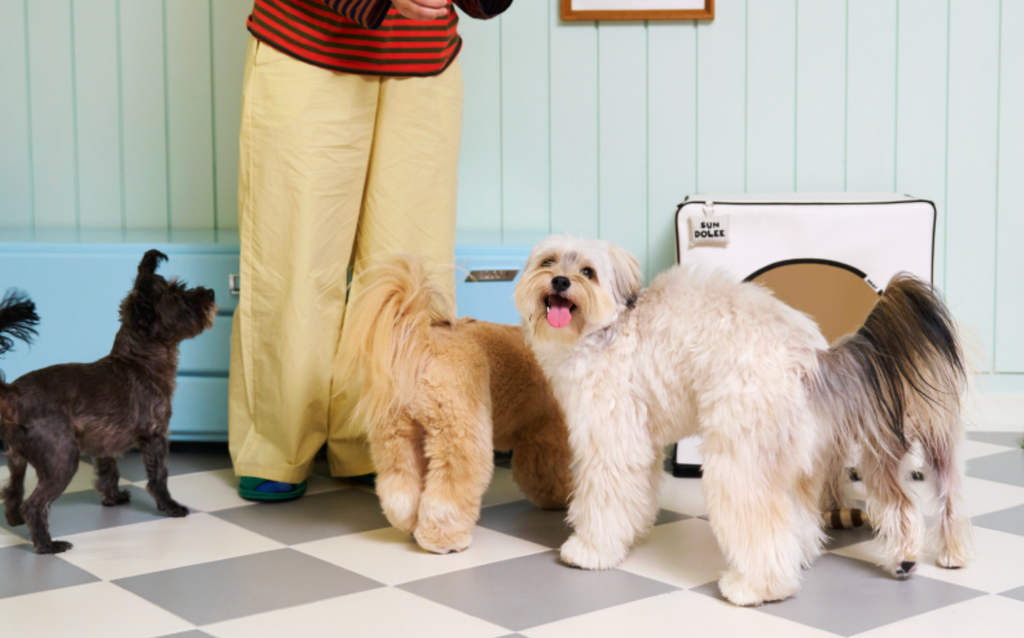 ALLDAYBRAT ｜ ADB HOUSE 狗狗屋（white）