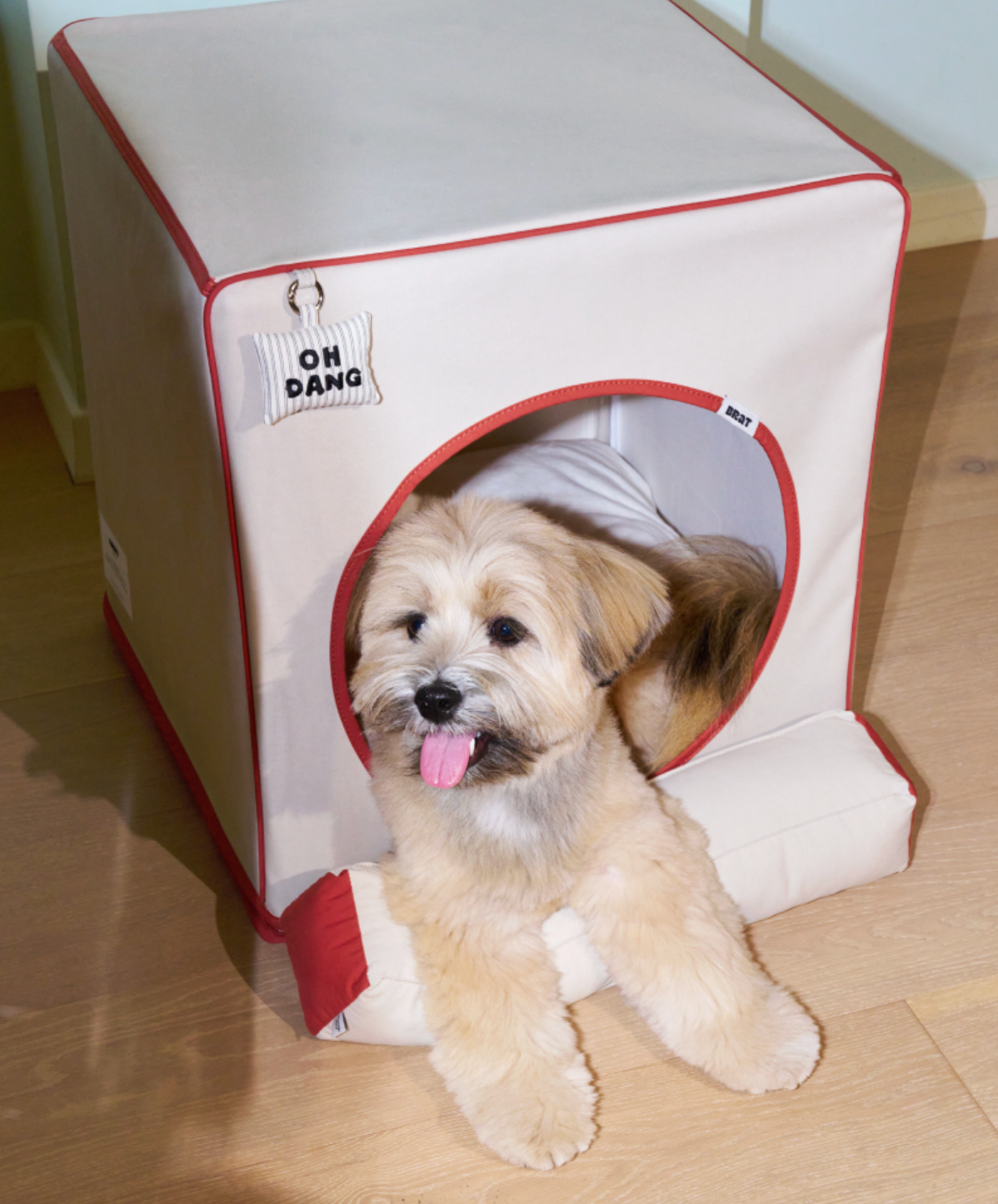 ALLDAYBRAT ｜ ADB HOUSE 狗狗屋（beige）