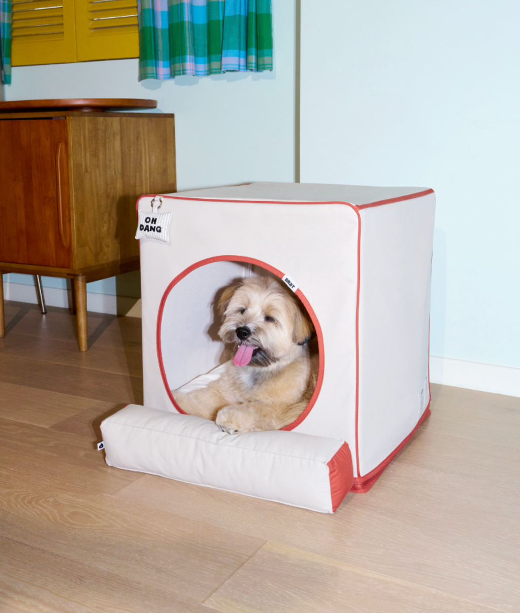 ALLDAYBRAT ｜ ADB HOUSE 狗狗屋（beige）
