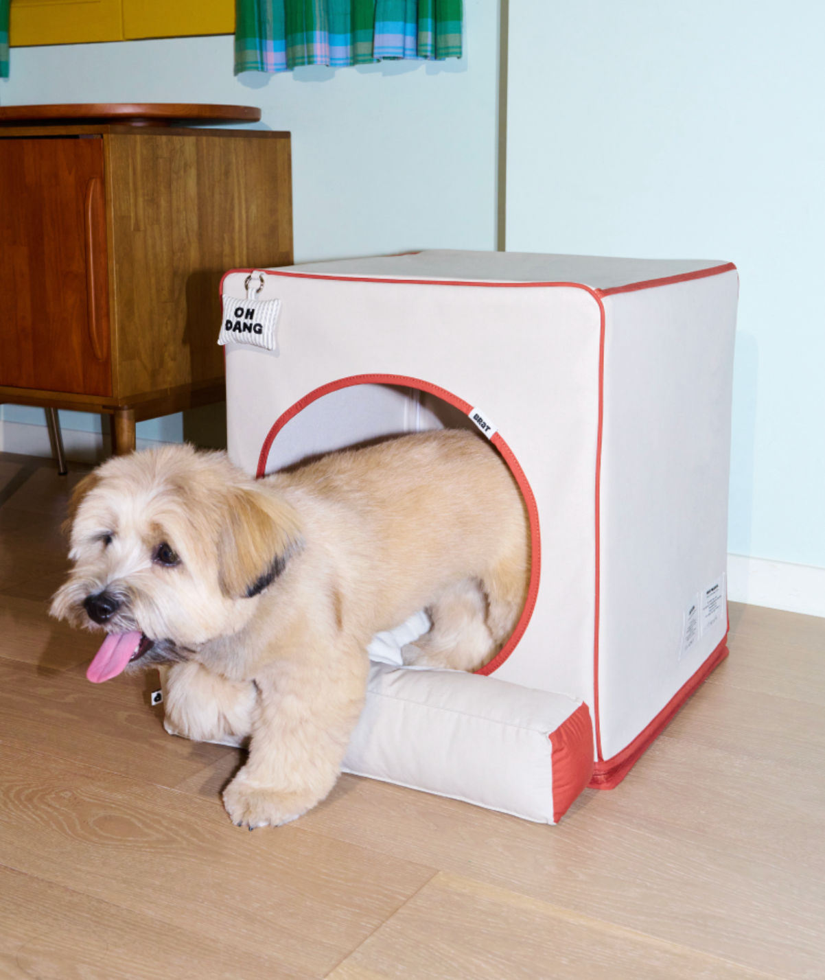 ALLDAYBRAT ｜ ADB HOUSE 狗狗屋（beige）