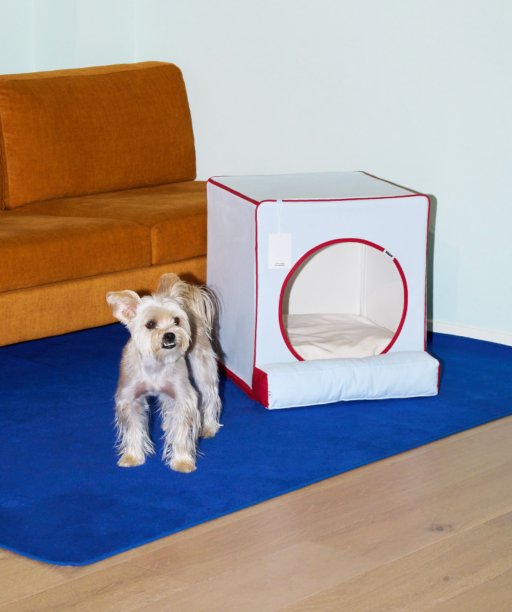 ALLDAYBRAT ｜ ADB HOUSE 狗狗屋（skyblue）