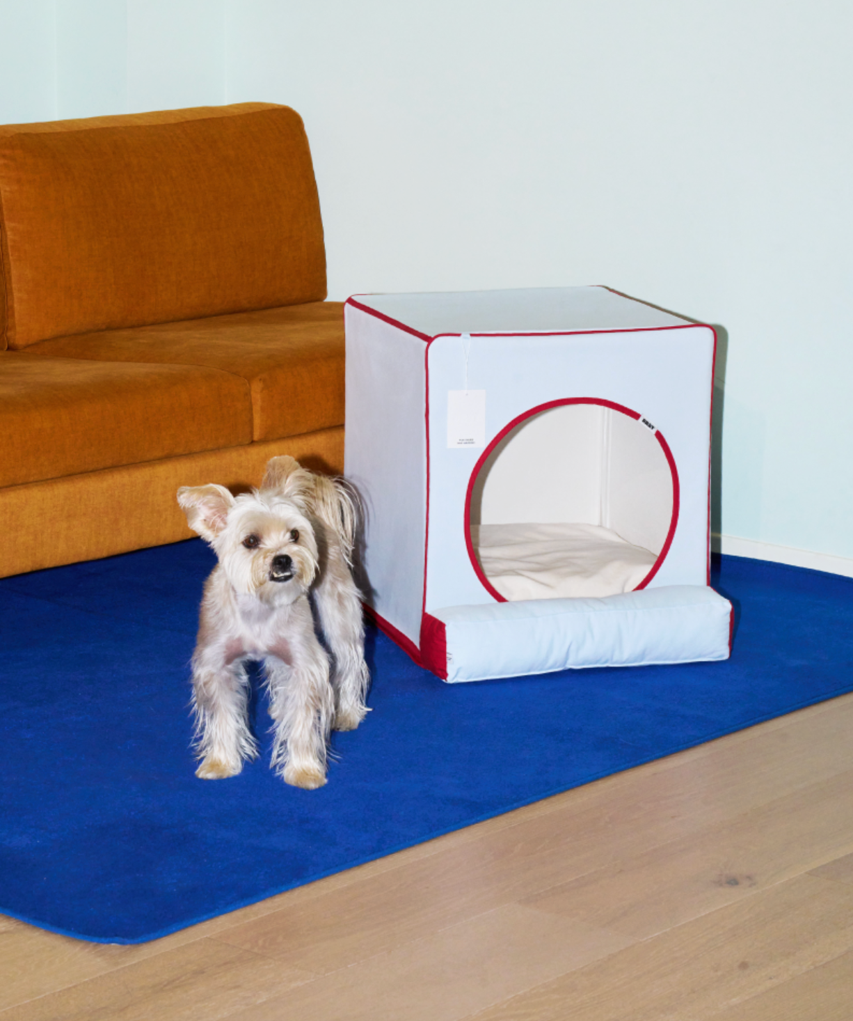 ALLDAYBRAT ｜ ADB HOUSE 狗狗屋（skyblue）