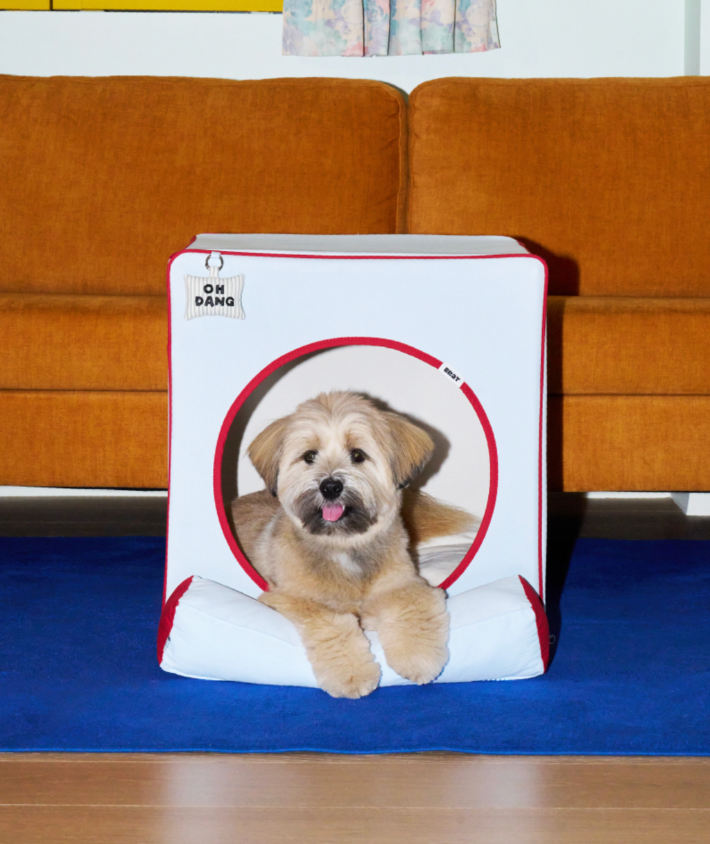 ALLDAYBRAT ｜ ADB HOUSE 狗狗屋（skyblue）