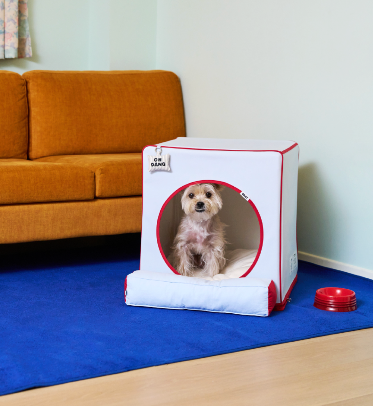 ALLDAYBRAT ｜ ADB HOUSE 狗狗屋（skyblue）