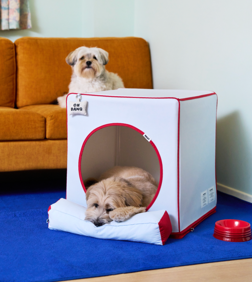 ALLDAYBRAT ｜ ADB HOUSE 狗狗屋（skyblue）