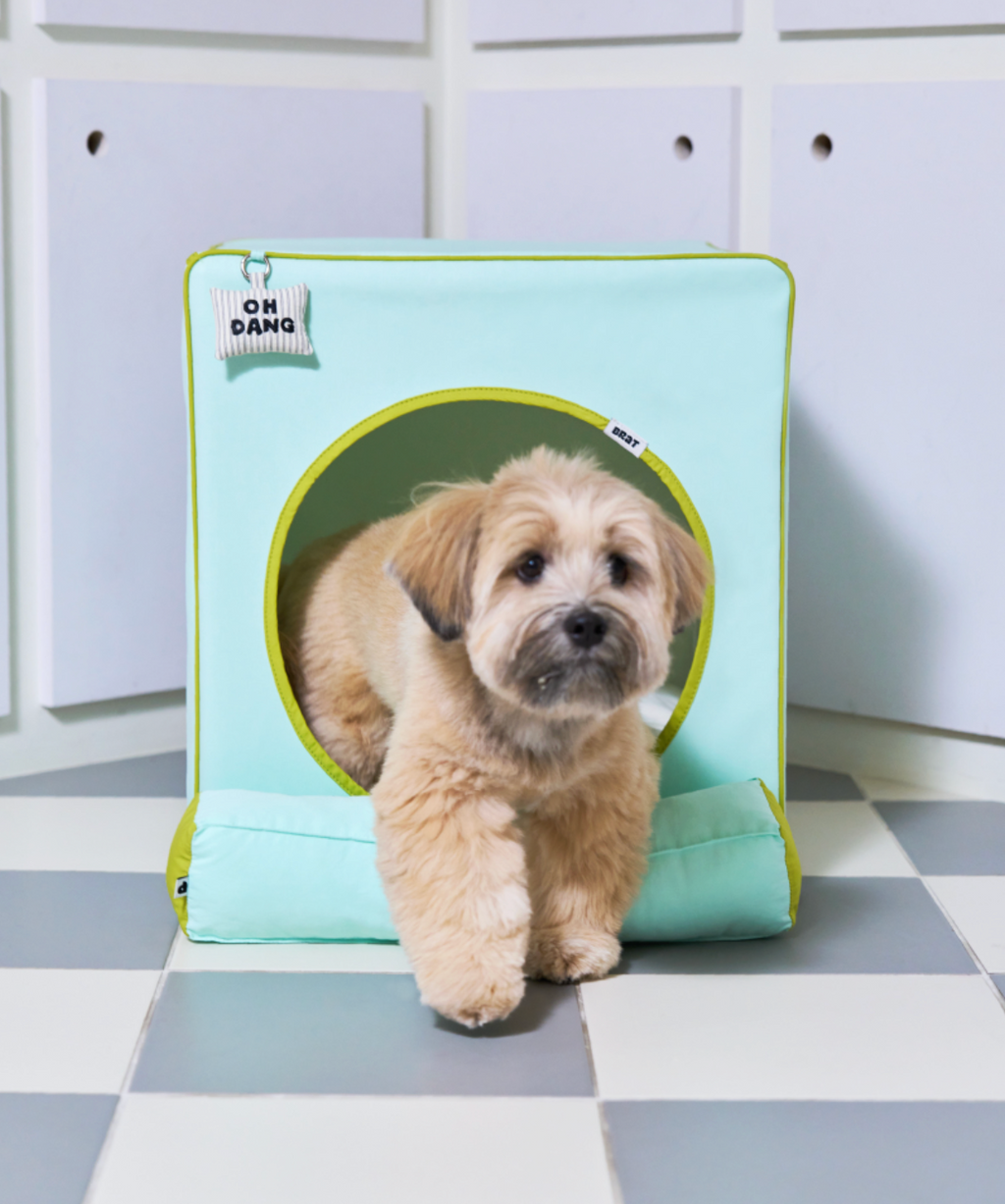 ALLDAYBRAT ｜ ADB HOUSE 狗狗屋（mint）