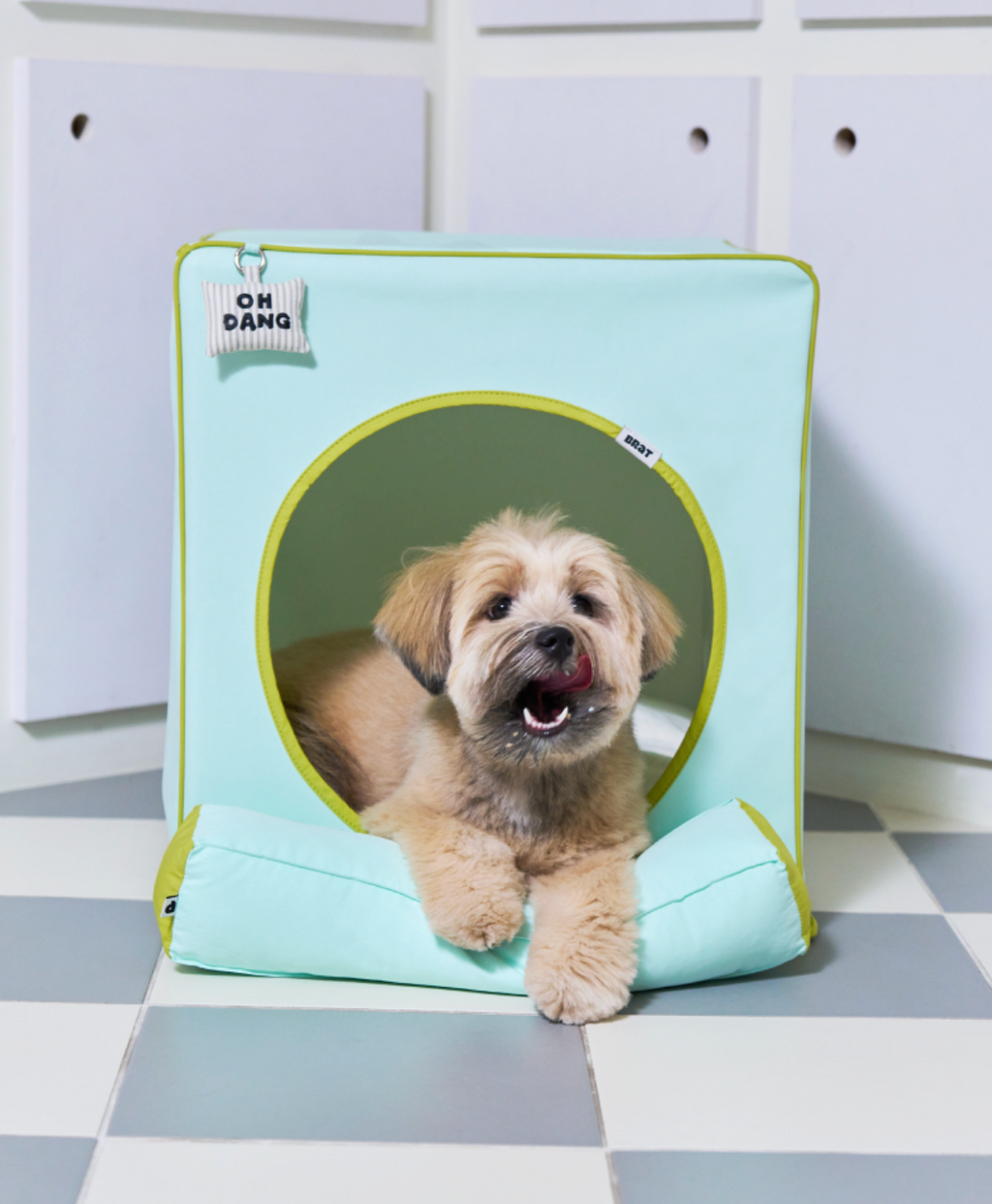ALLDAYBRAT ｜ ADB HOUSE 狗狗屋（mint）