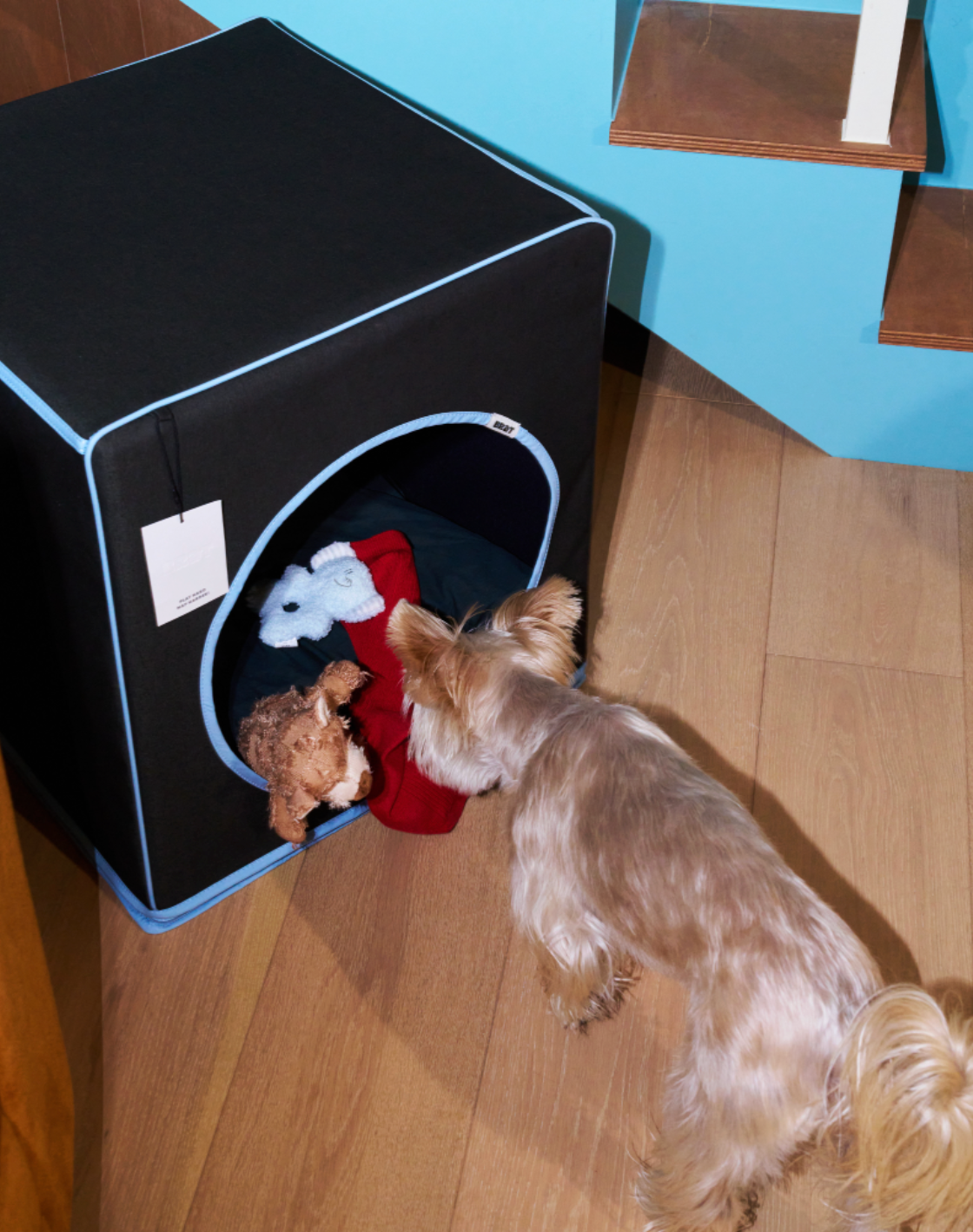 ALLDAYBRAT ｜ ADB HOUSE 狗狗屋（black）