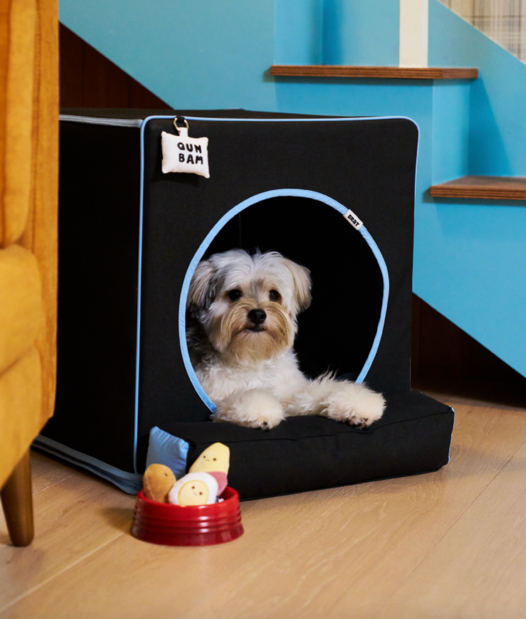 ALLDAYBRAT ｜ ADB HOUSE 狗狗屋（black）