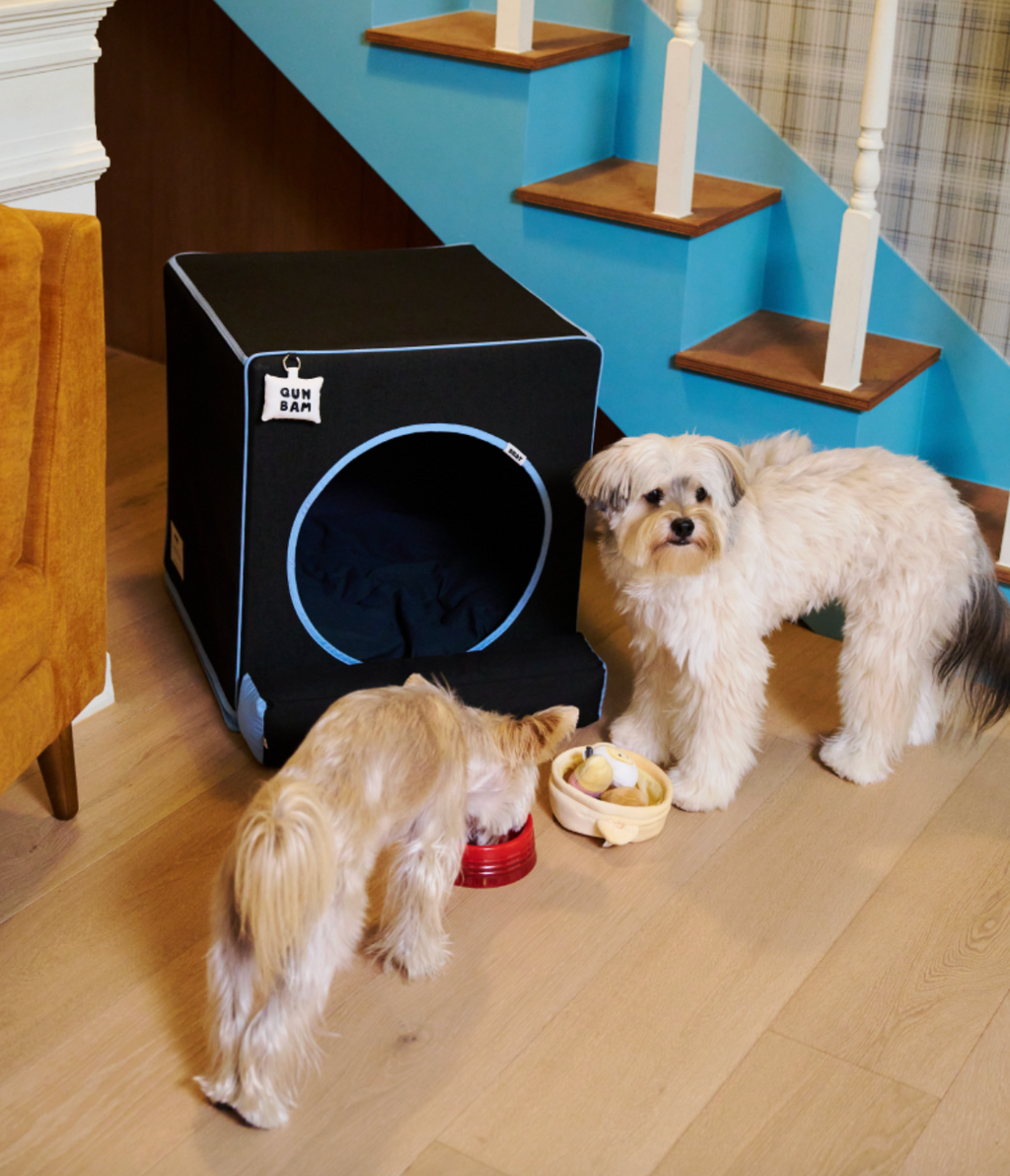 ALLDAYBRAT ｜ ADB HOUSE 狗狗屋（black）