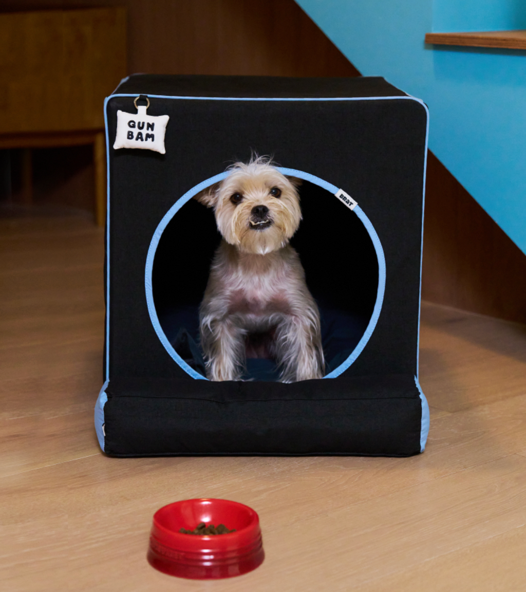 ALLDAYBRAT ｜ ADB HOUSE 狗狗屋（black）
