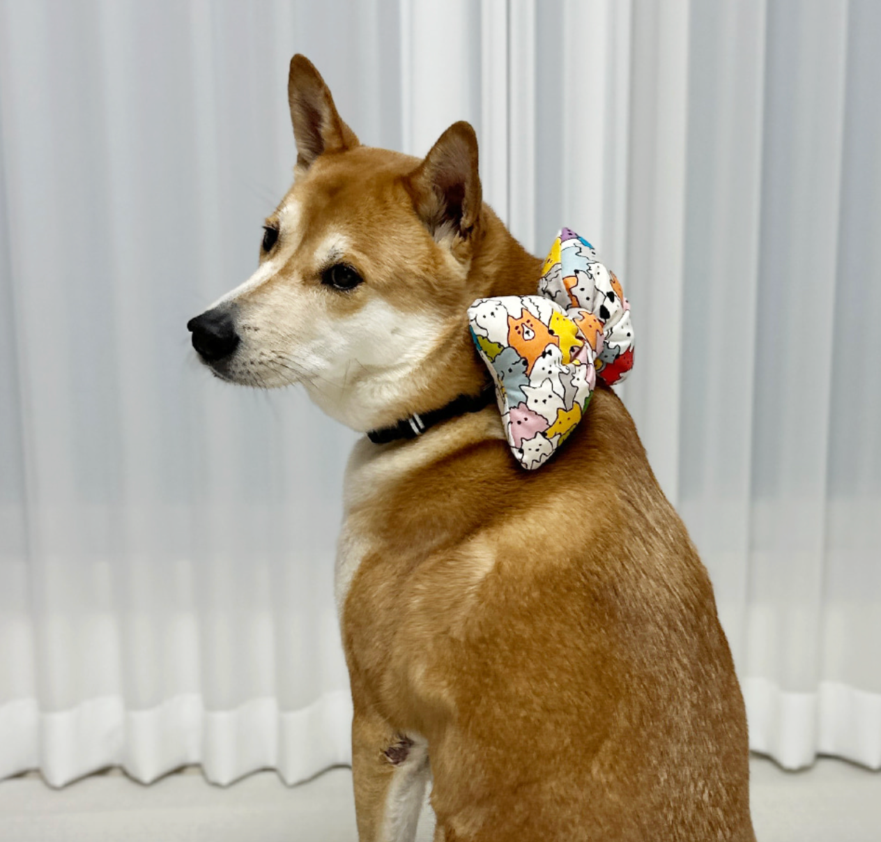 Yellow Triangle｜狗狗蝴蝶結