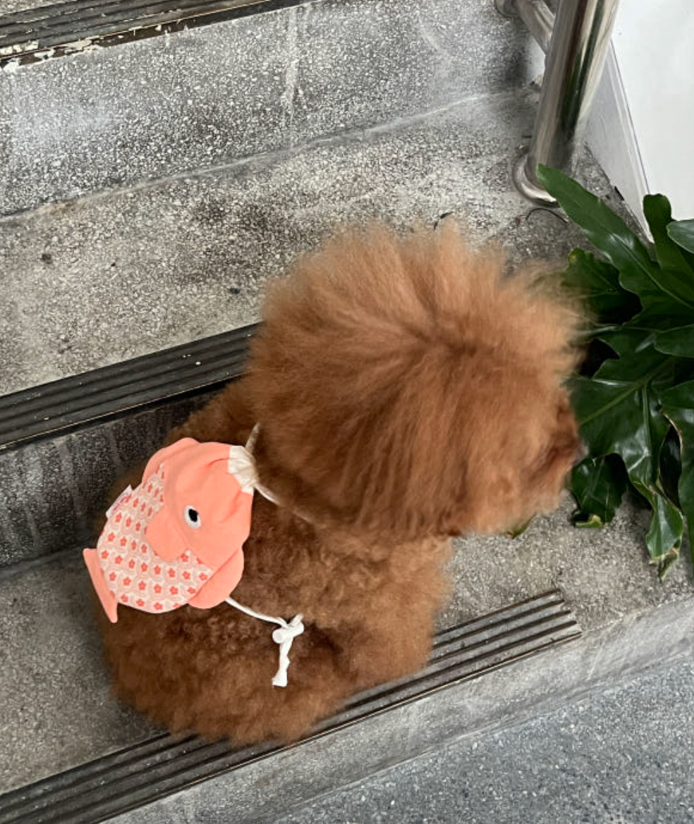 tak!tak!tak!tak!｜Fresh Fish Bag 小背包🐟🧊