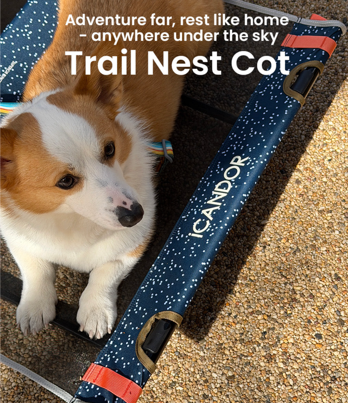 代購｜iCANDOR Trail Nest Cot 戶外折疊行軍床