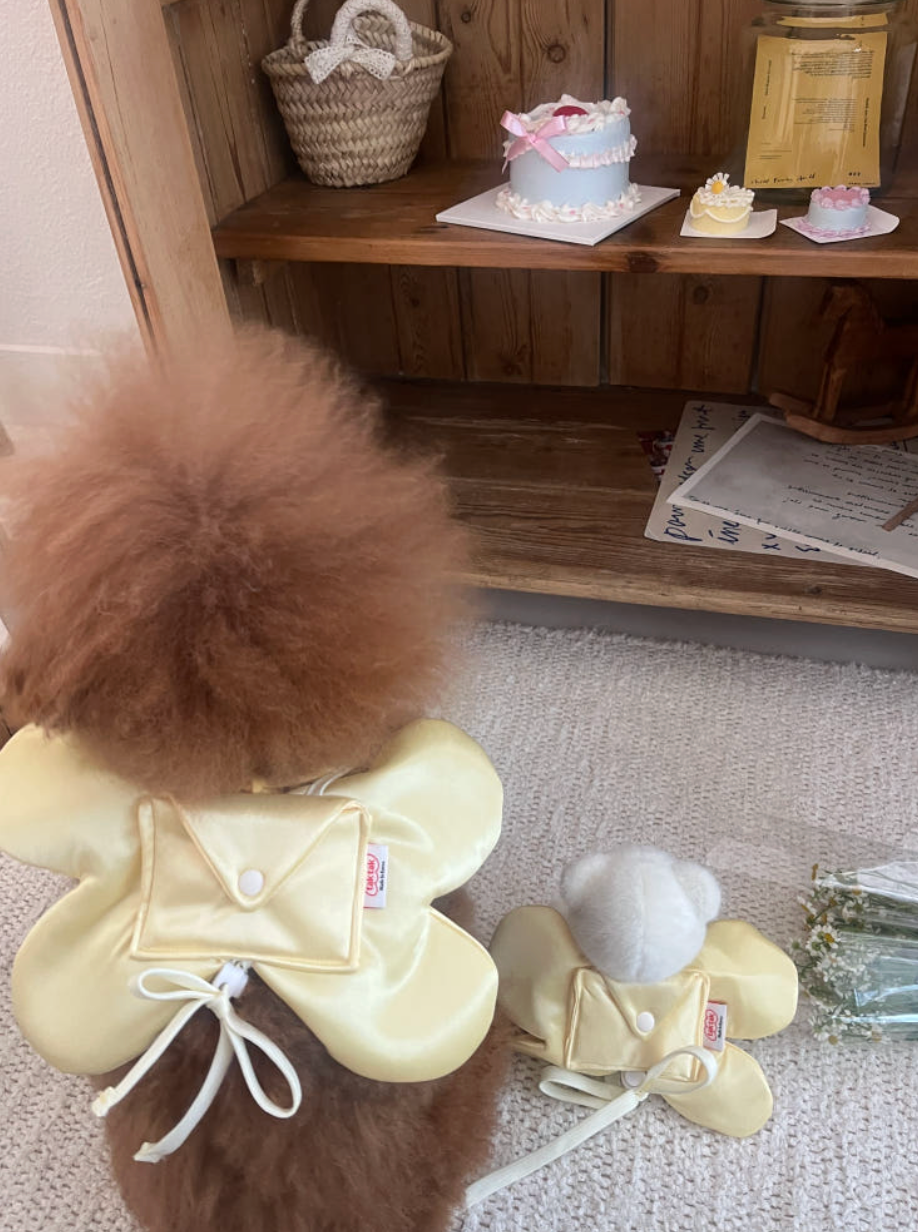 tak!tak!tak!tak!｜Fairy Mood Series_ Fairy Wings Bag 蝴蝶信封翅膀