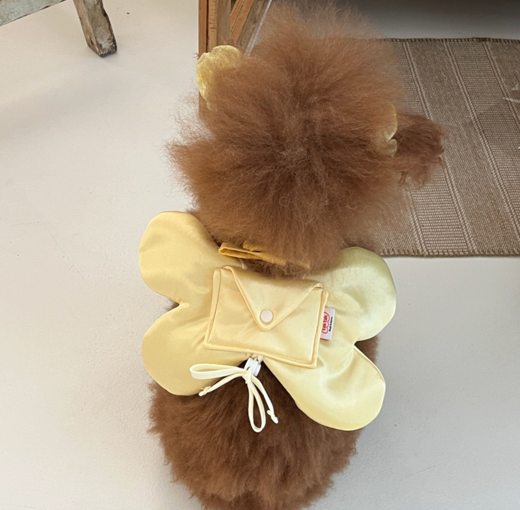 tak!tak!tak!tak!｜Fairy Mood Series_ Fairy Wings Bag 蝴蝶信封翅膀