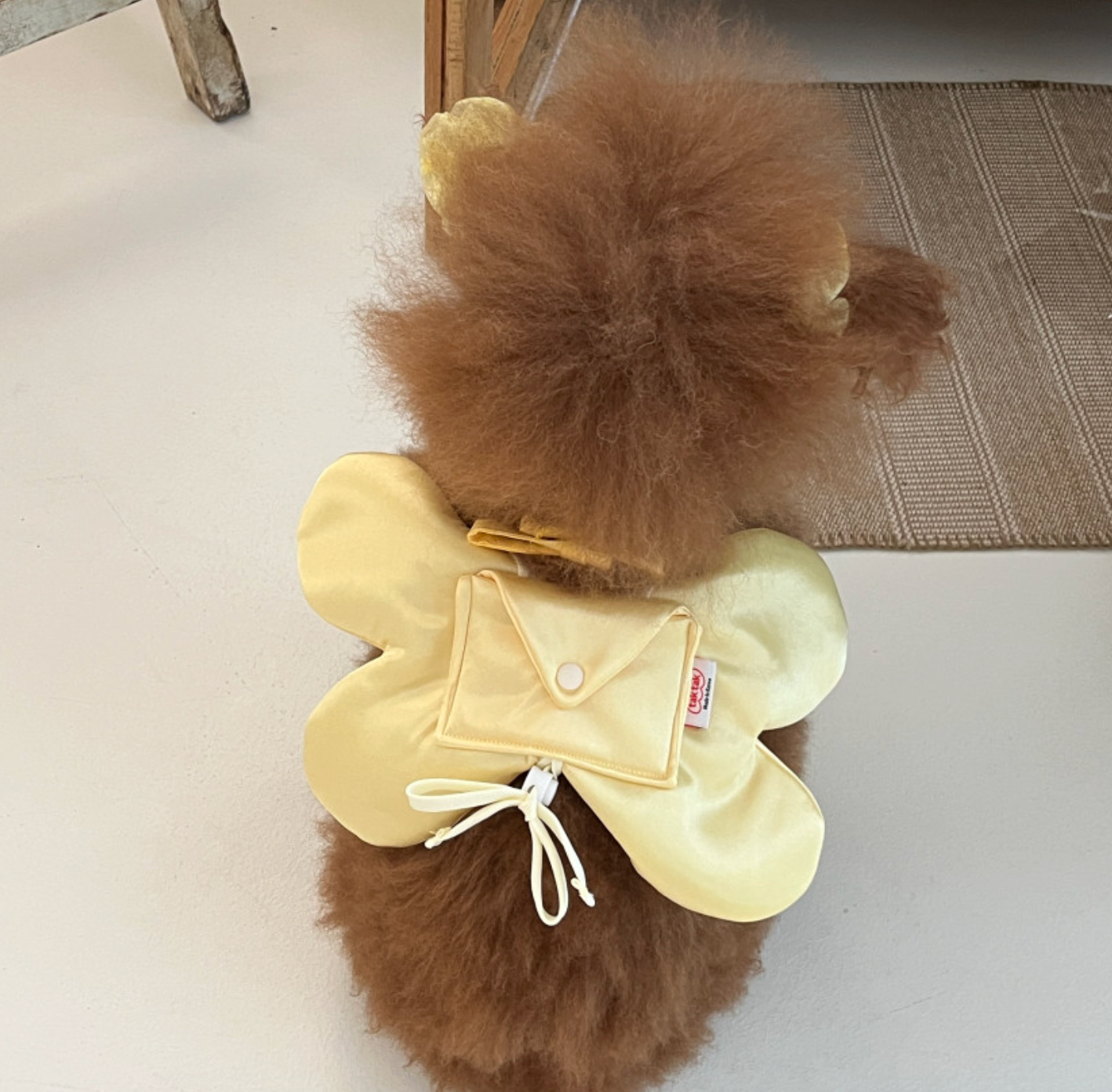 tak!tak!tak!tak!｜Fairy Mood Series_ Fairy Wings Bag 蝴蝶信封翅膀