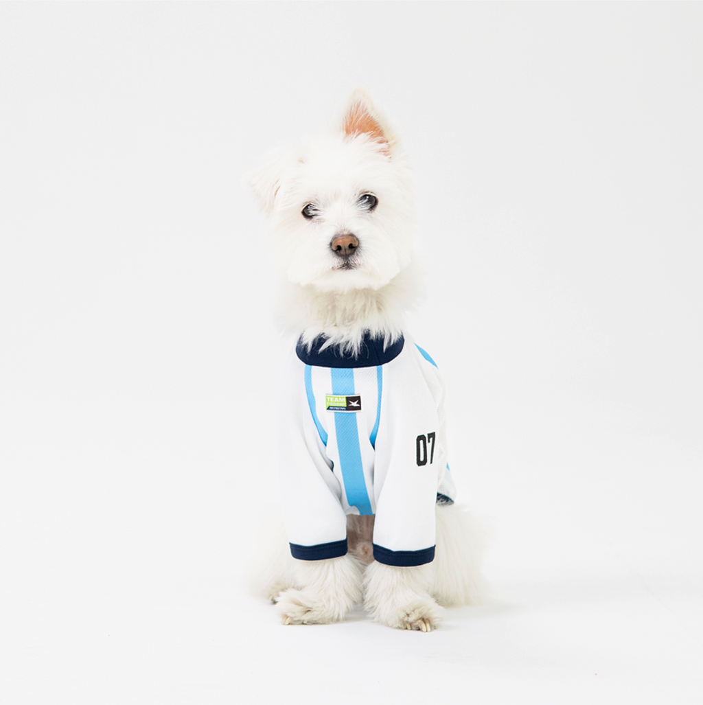 Paaawr｜2026夏季｜涼感撞色插肩袖 Club Stripe Cool Raglan Tee_Blue