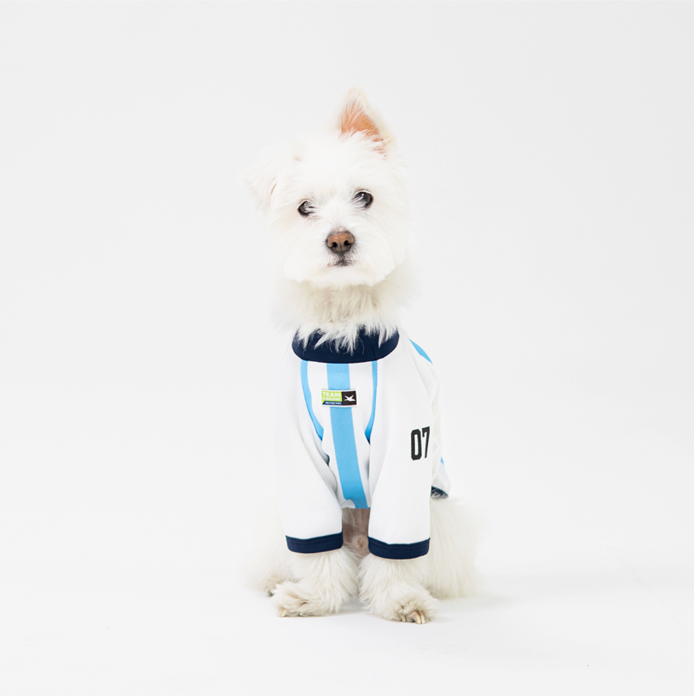 Paaawr｜2026夏季｜涼感撞色插肩袖 Club Stripe Cool Raglan Tee_Blue