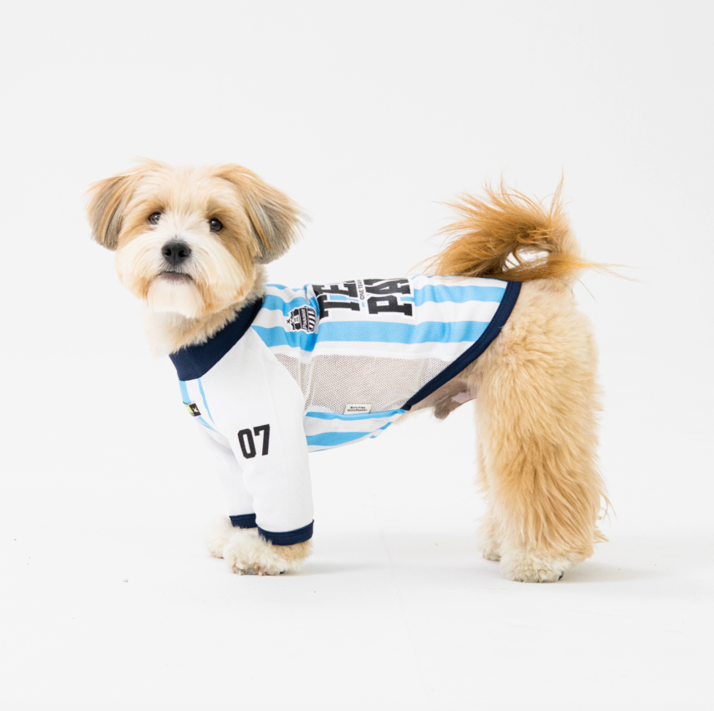 Paaawr｜2026夏季｜涼感撞色插肩袖 Club Stripe Cool Raglan Tee_Blue
