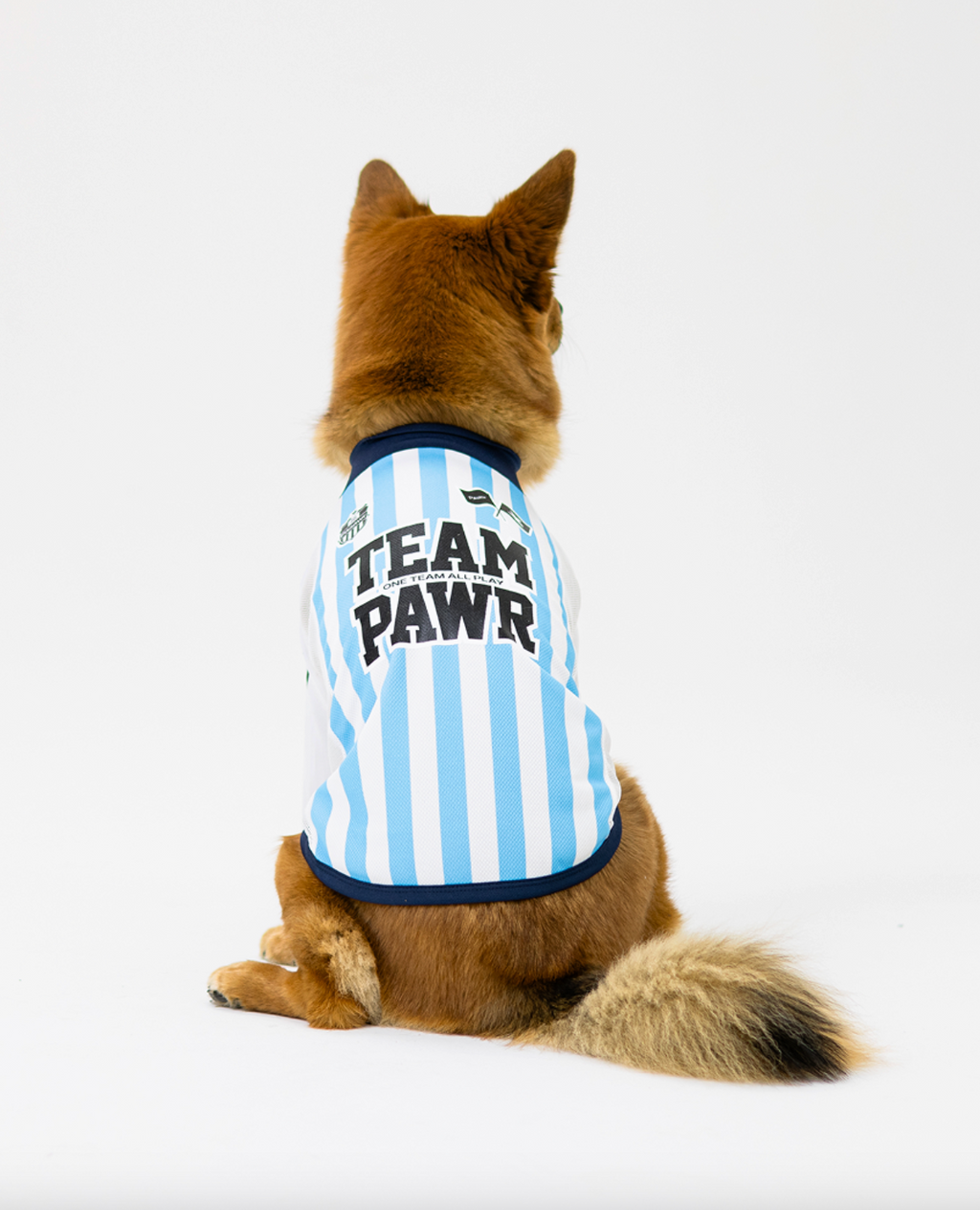 Paaawr｜2026夏季｜涼感撞色插肩袖 Club Stripe Cool Raglan Tee_Blue