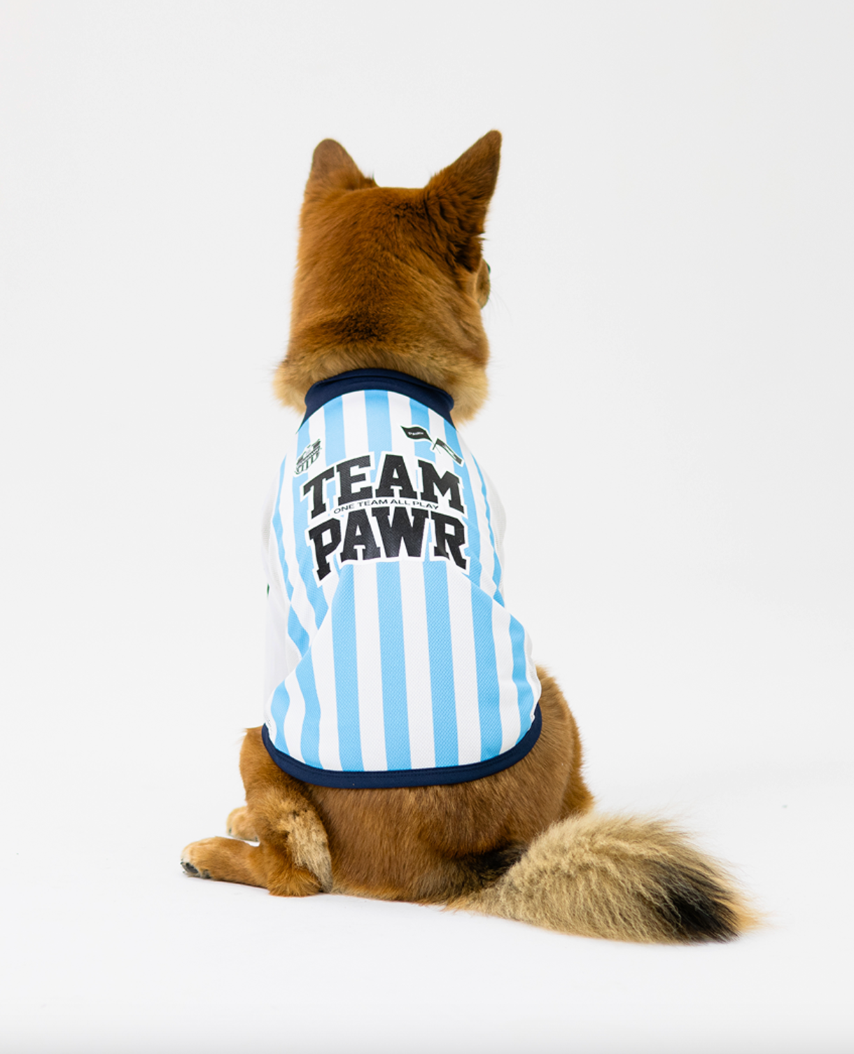 Paaawr｜2026夏季｜涼感撞色插肩袖 Club Stripe Cool Raglan Tee_Blue