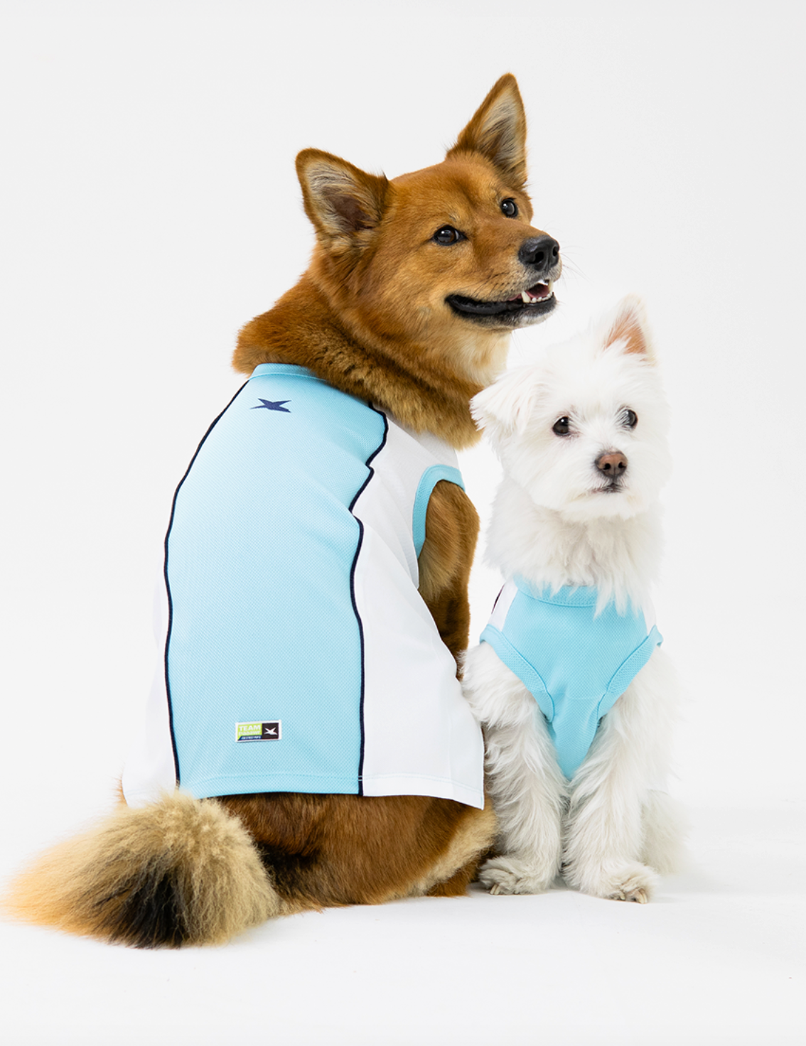 Paaawr｜2026夏季｜涼感無袖背心 Trackline Cool Sleeveless Tee_SkyBlue