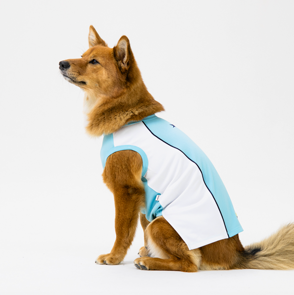 Paaawr｜2026夏季｜涼感無袖背心 Trackline Cool Sleeveless Tee_SkyBlue