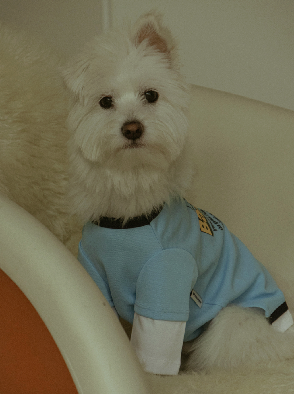 Paaawr｜涼感假兩件層次 Barkcade Cool Layered Tee _ Blue