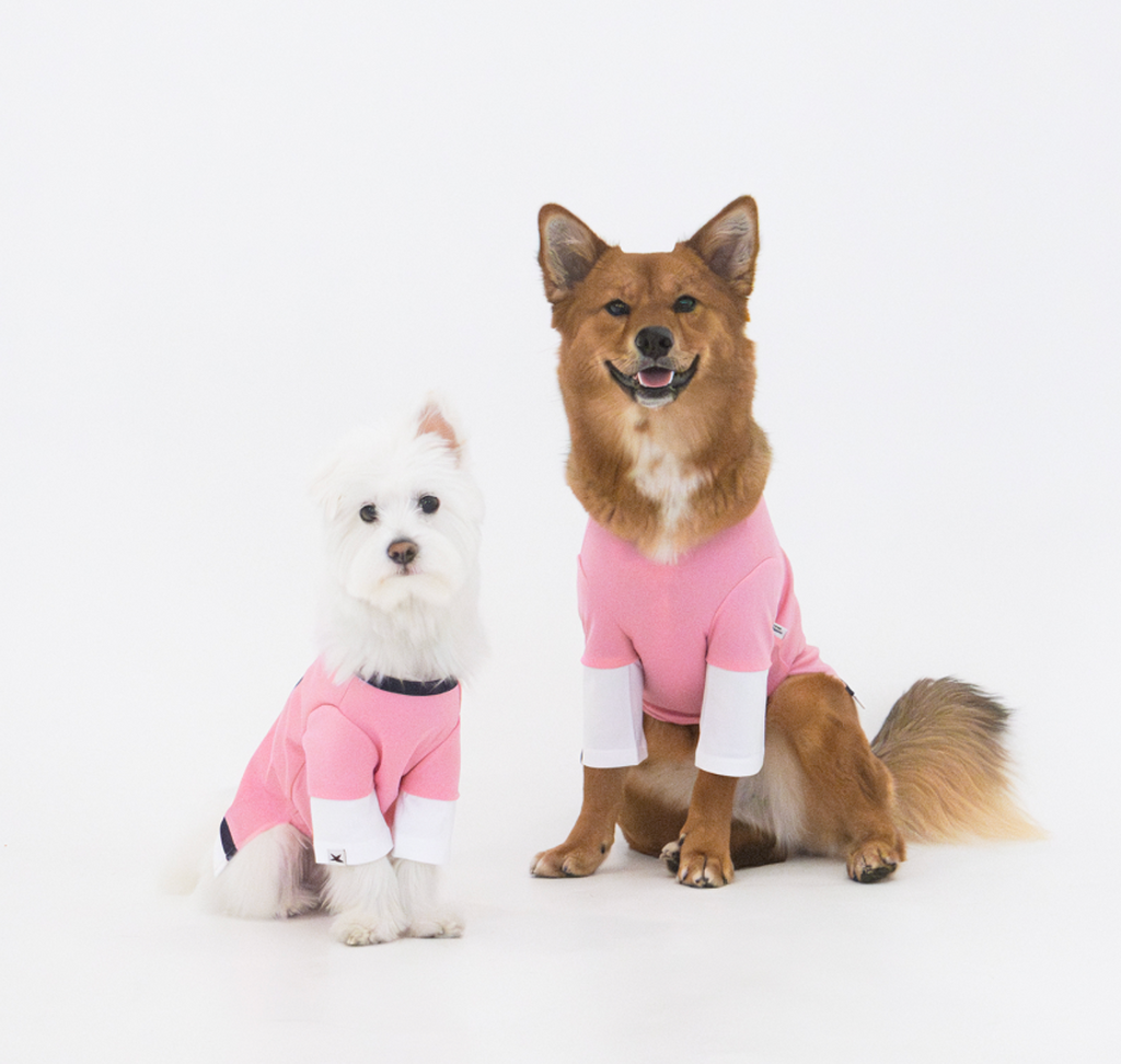 Paaawr｜涼感假兩件層次 Barkcade Cool Layered Tee _ Pink
