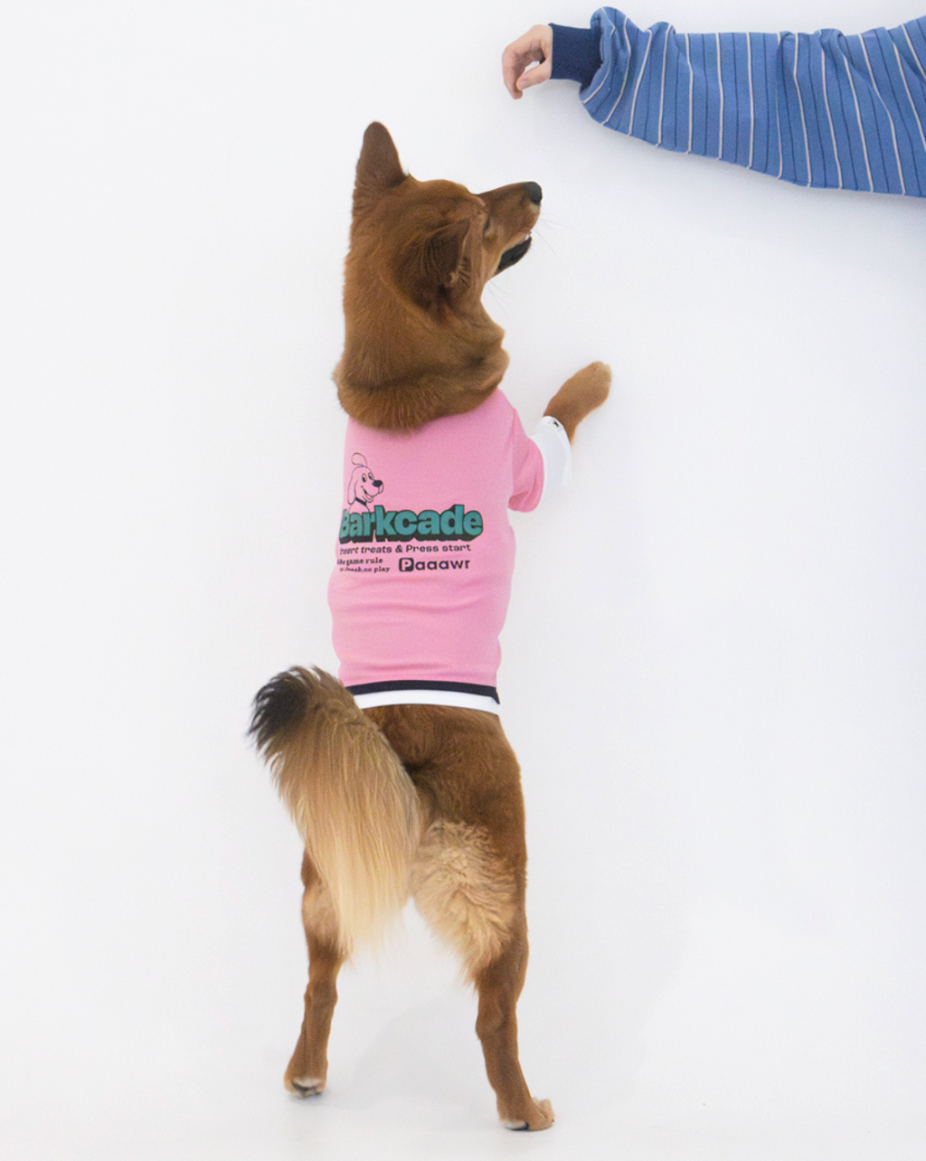 Paaawr｜涼感假兩件層次 Barkcade Cool Layered Tee _ Pink