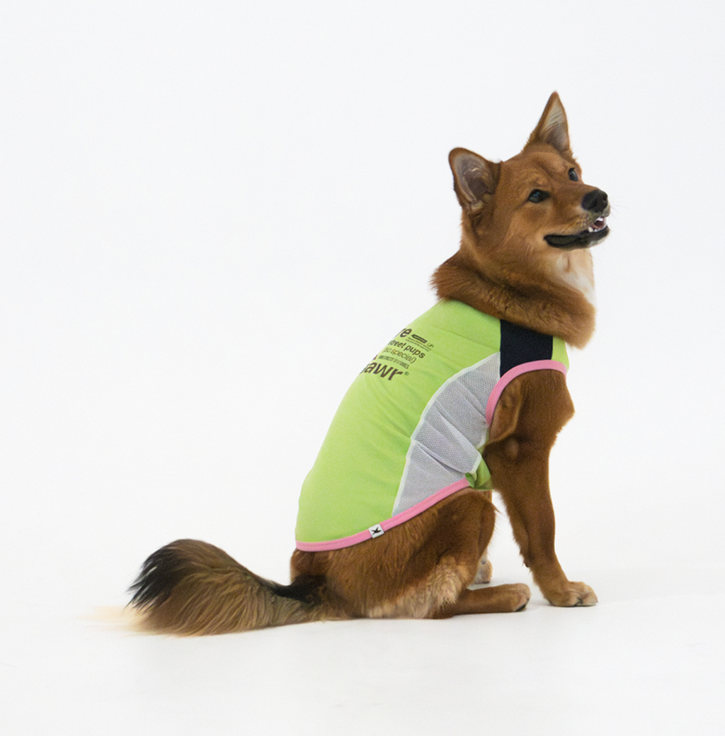 Paaawr｜ 經典涼感無袖 Signature Cool Sleeveless Tee_Green