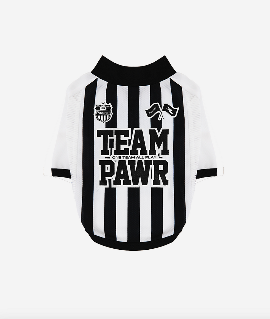 Paaawr｜ 2026夏季｜涼感撞色插肩袖 Club Stripe Cool Raglan Tee_Black