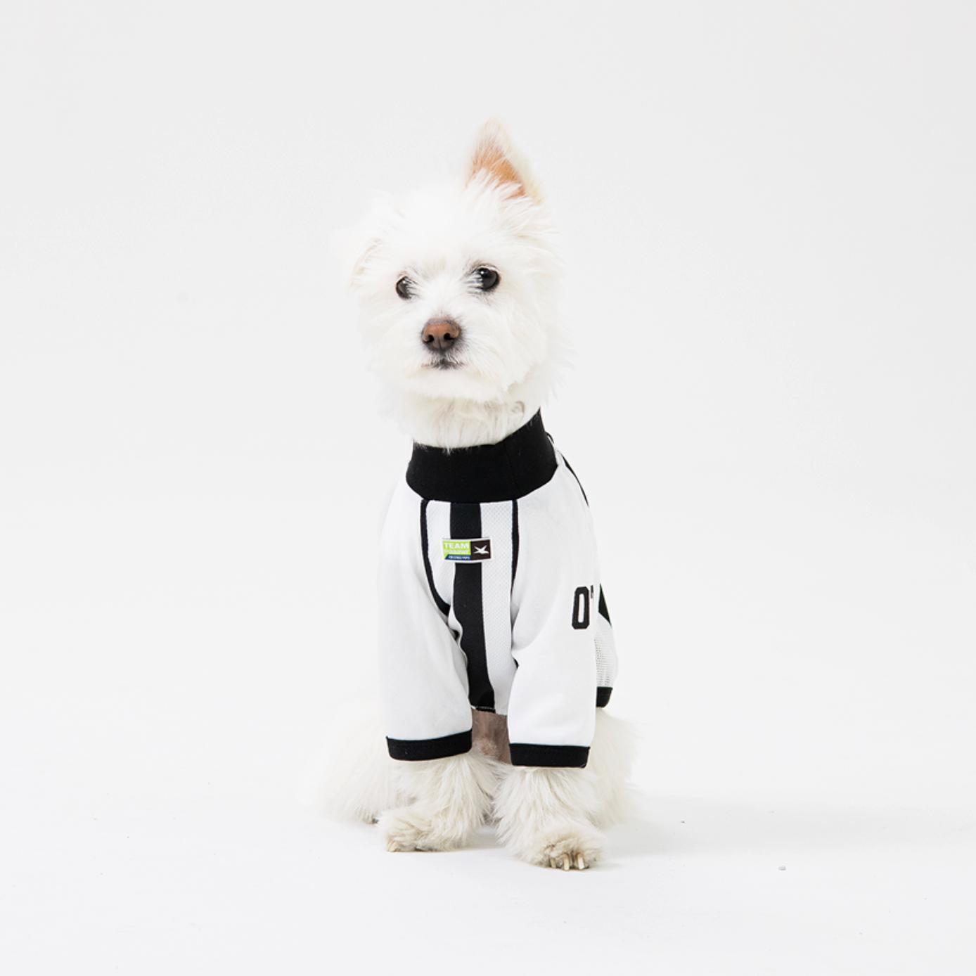 Paaawr｜ 2026夏季｜涼感撞色插肩袖 Club Stripe Cool Raglan Tee_Black