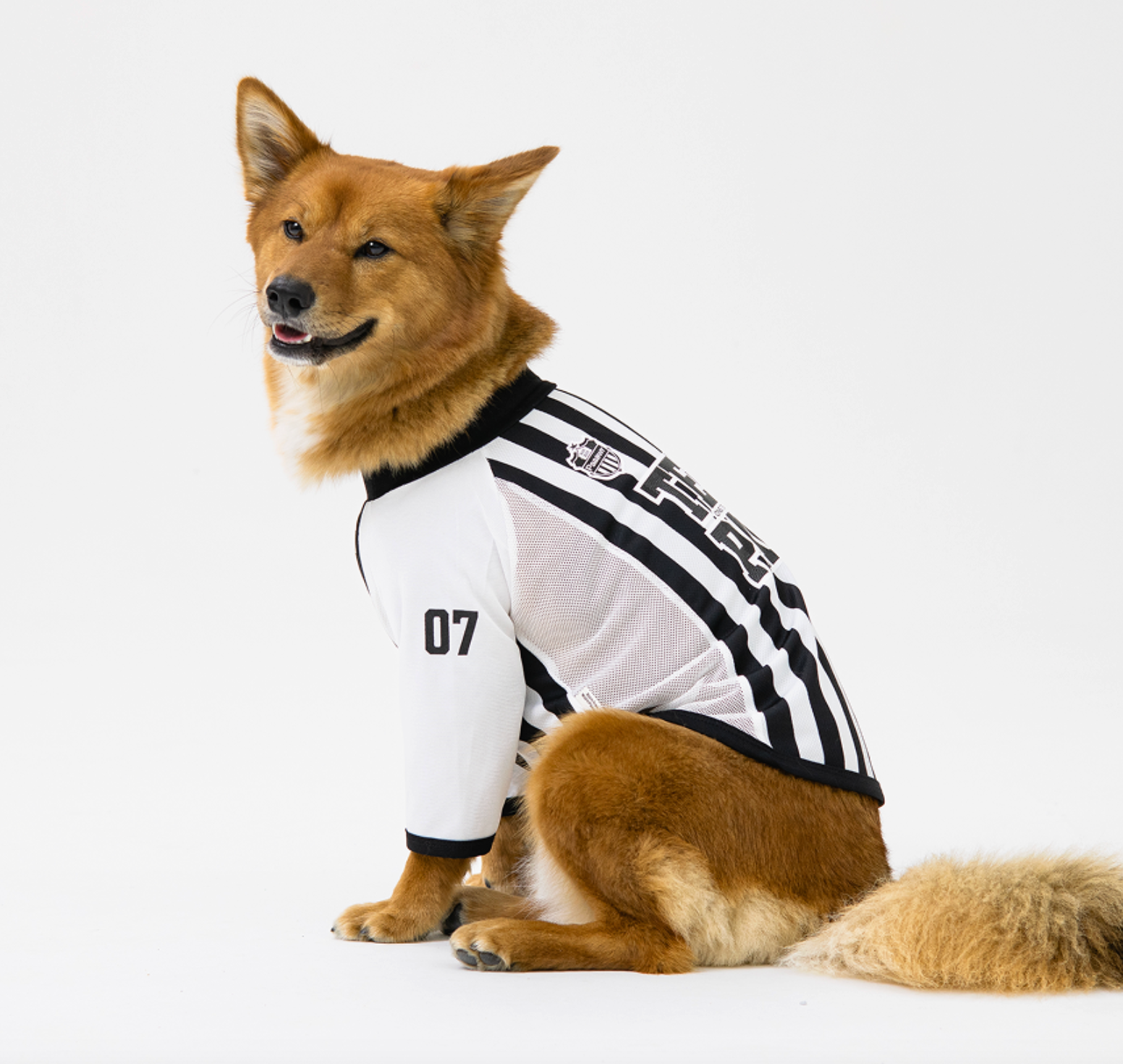 Paaawr｜ 2026夏季｜涼感撞色插肩袖 Club Stripe Cool Raglan Tee_Black