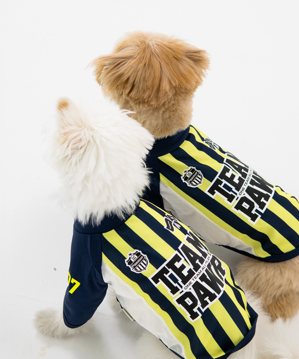 Paaawr｜2026夏季｜涼感撞色插肩袖 Club Stripe Cool Raglan Tee_Yellow