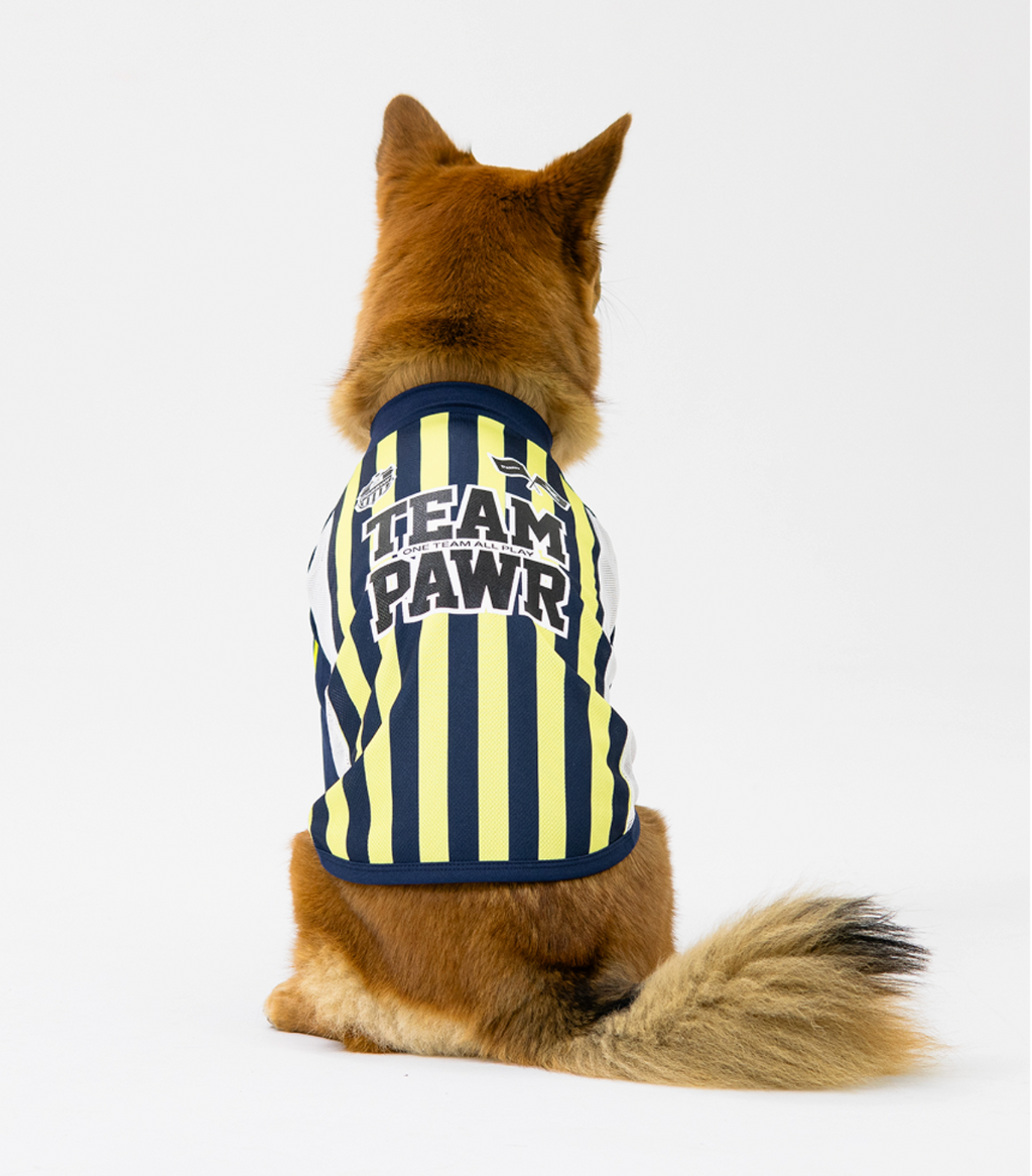 Paaawr｜2026夏季｜涼感撞色插肩袖 Club Stripe Cool Raglan Tee_Yellow