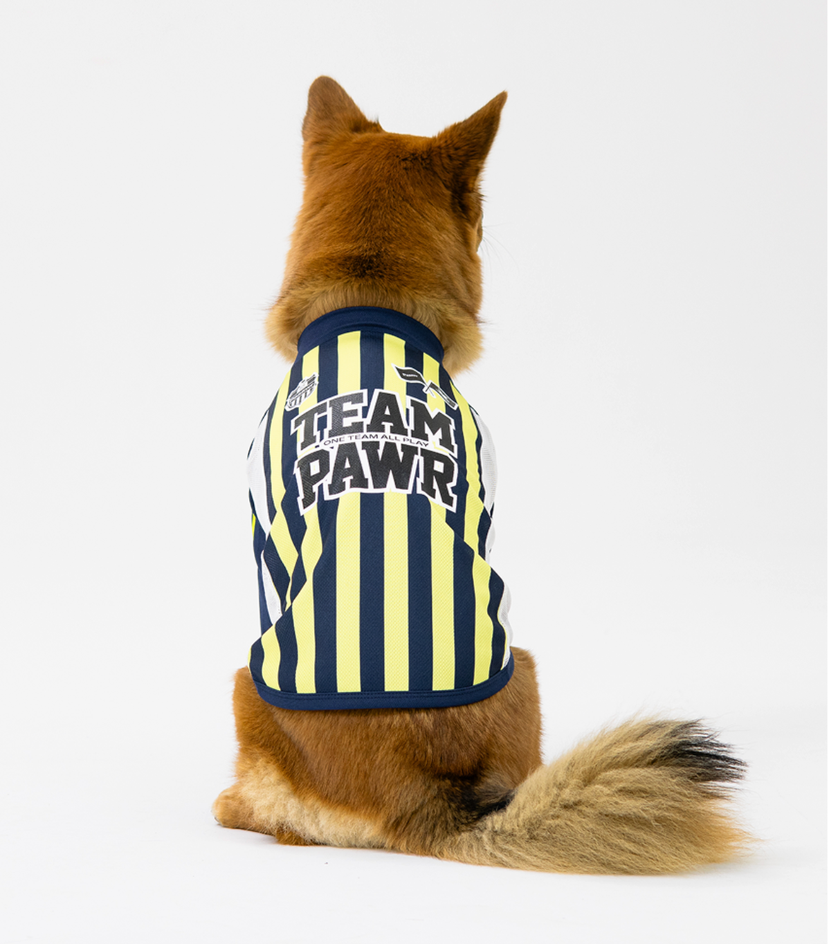 Paaawr｜2026夏季｜涼感撞色插肩袖 Club Stripe Cool Raglan Tee_Yellow