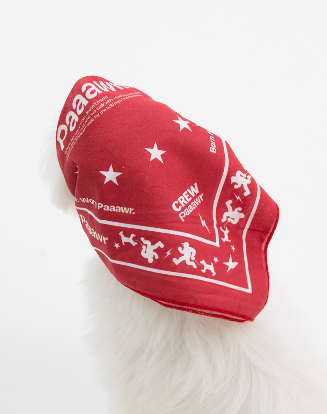 Paaawr｜夥伴領巾 Crew Bandana