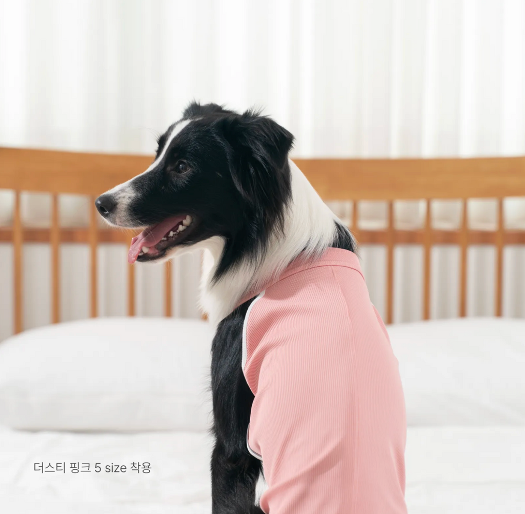 PawfitClub｜Airly Cooling Top 機能涼感衣