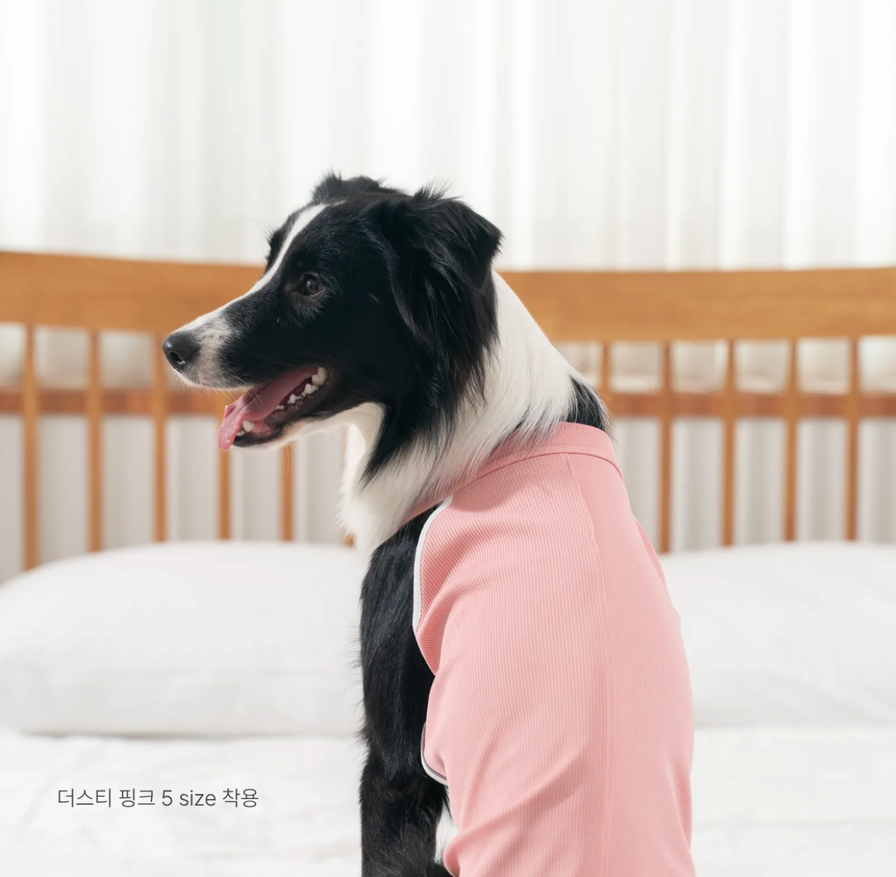 PawfitClub｜Airly Cooling Top 機能涼感衣