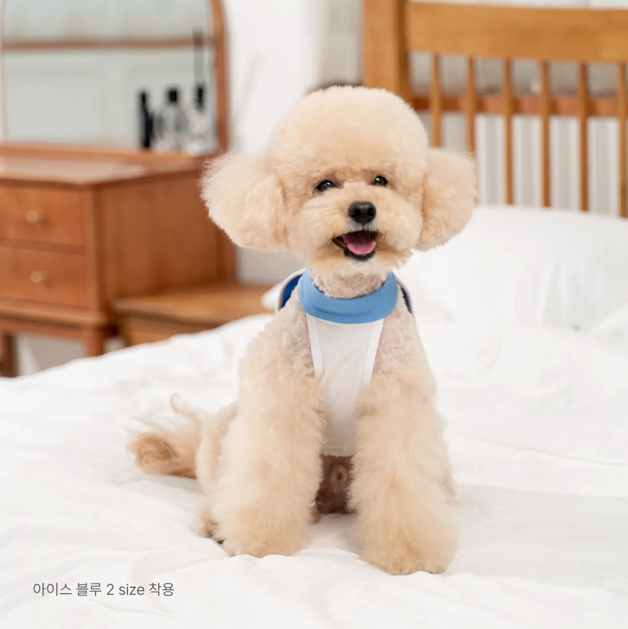 PawfitClub｜Airly Cooling Top 機能涼感衣