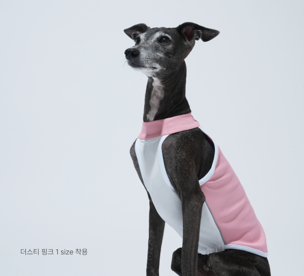 PawfitClub｜Airly Cooling Top 機能涼感衣