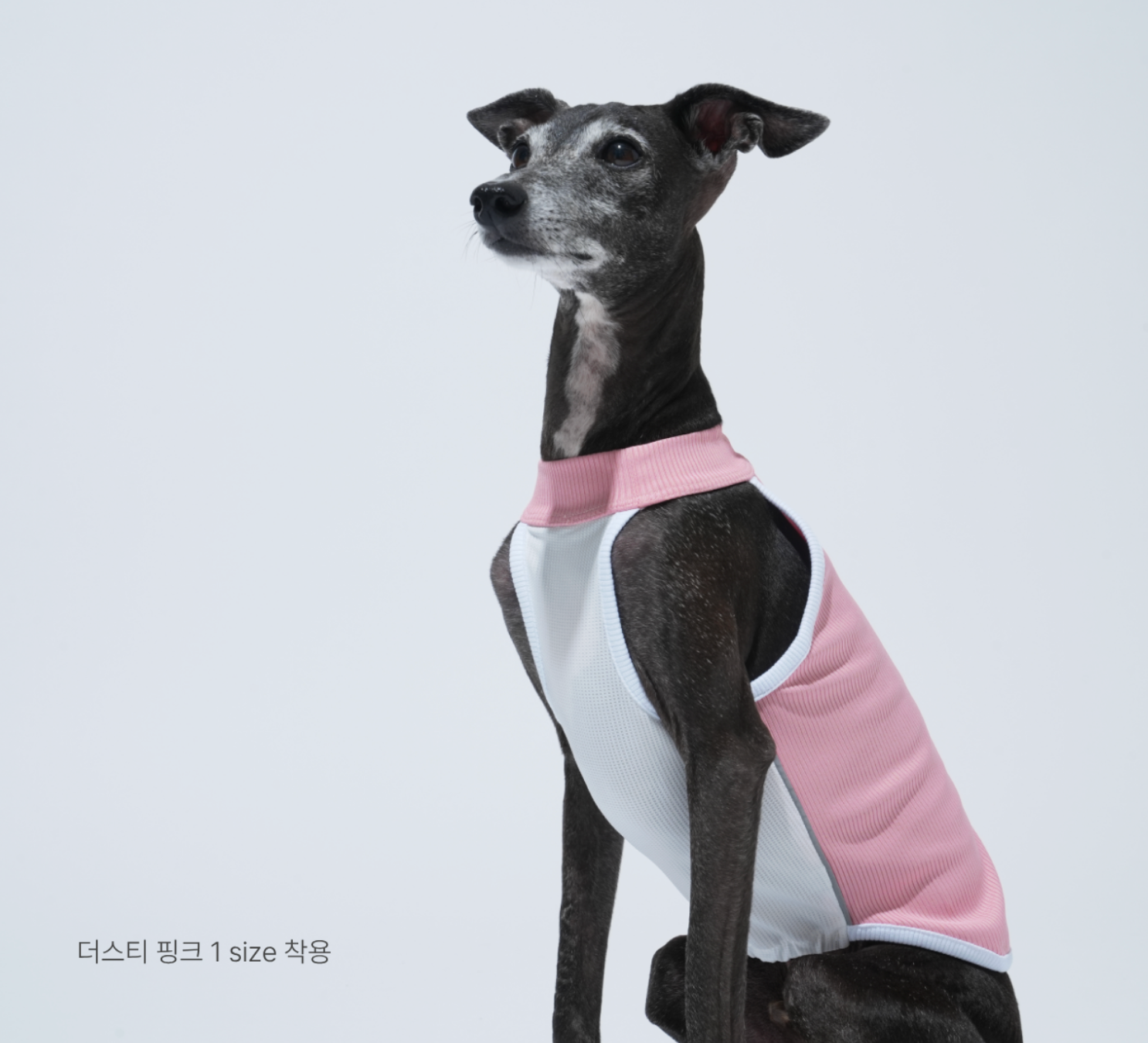 PawfitClub｜Airly Cooling Top 機能涼感衣
