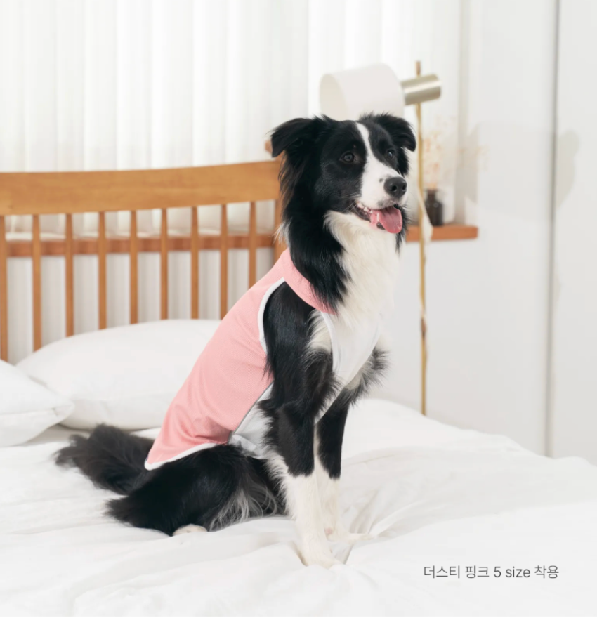 PawfitClub｜Airly Cooling Top 機能涼感衣