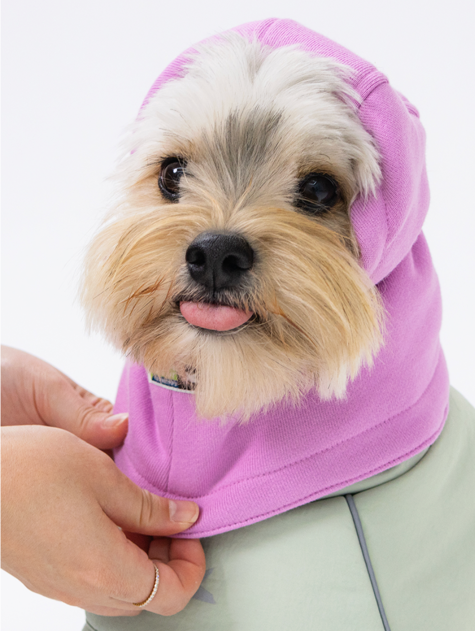Paaawr｜Cotton Layer Balaclava 冬季保暖頭套（4色）