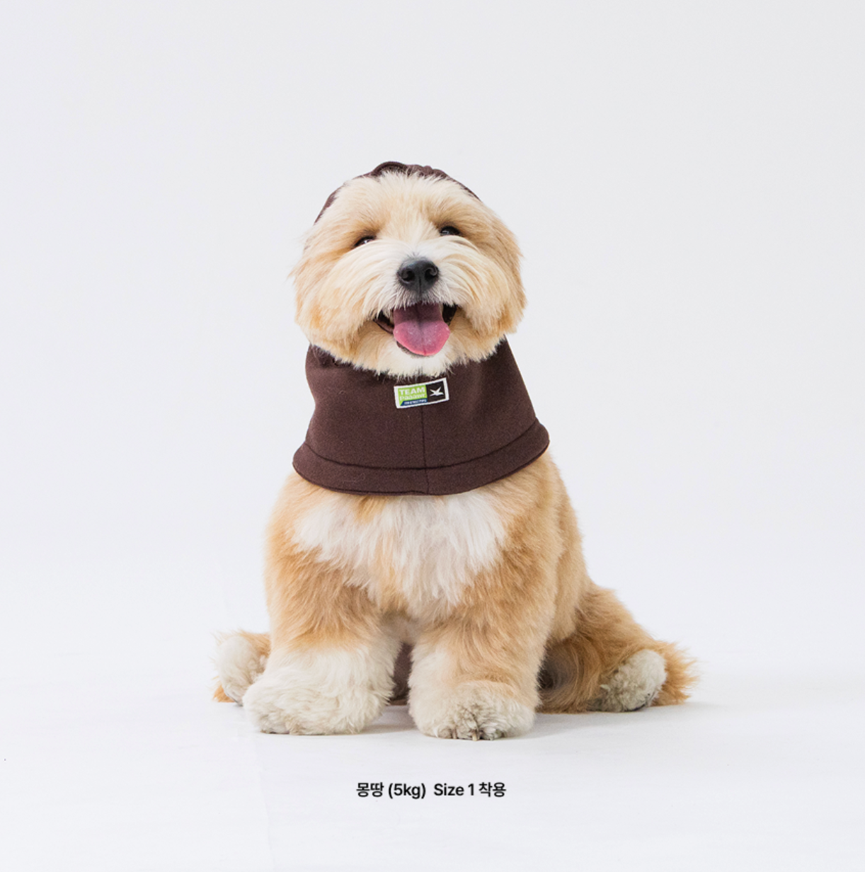 Paaawr｜Cotton Layer Balaclava 冬季保暖頭套（4色）
