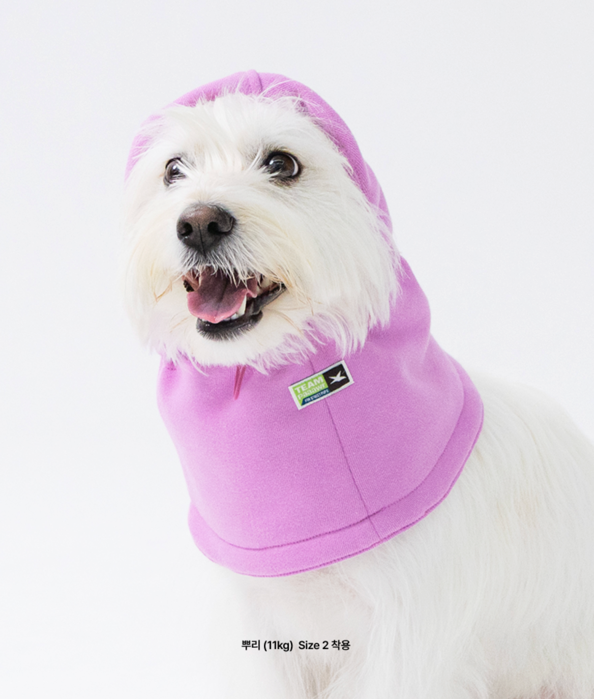 Paaawr｜Cotton Layer Balaclava 冬季保暖頭套（4色）