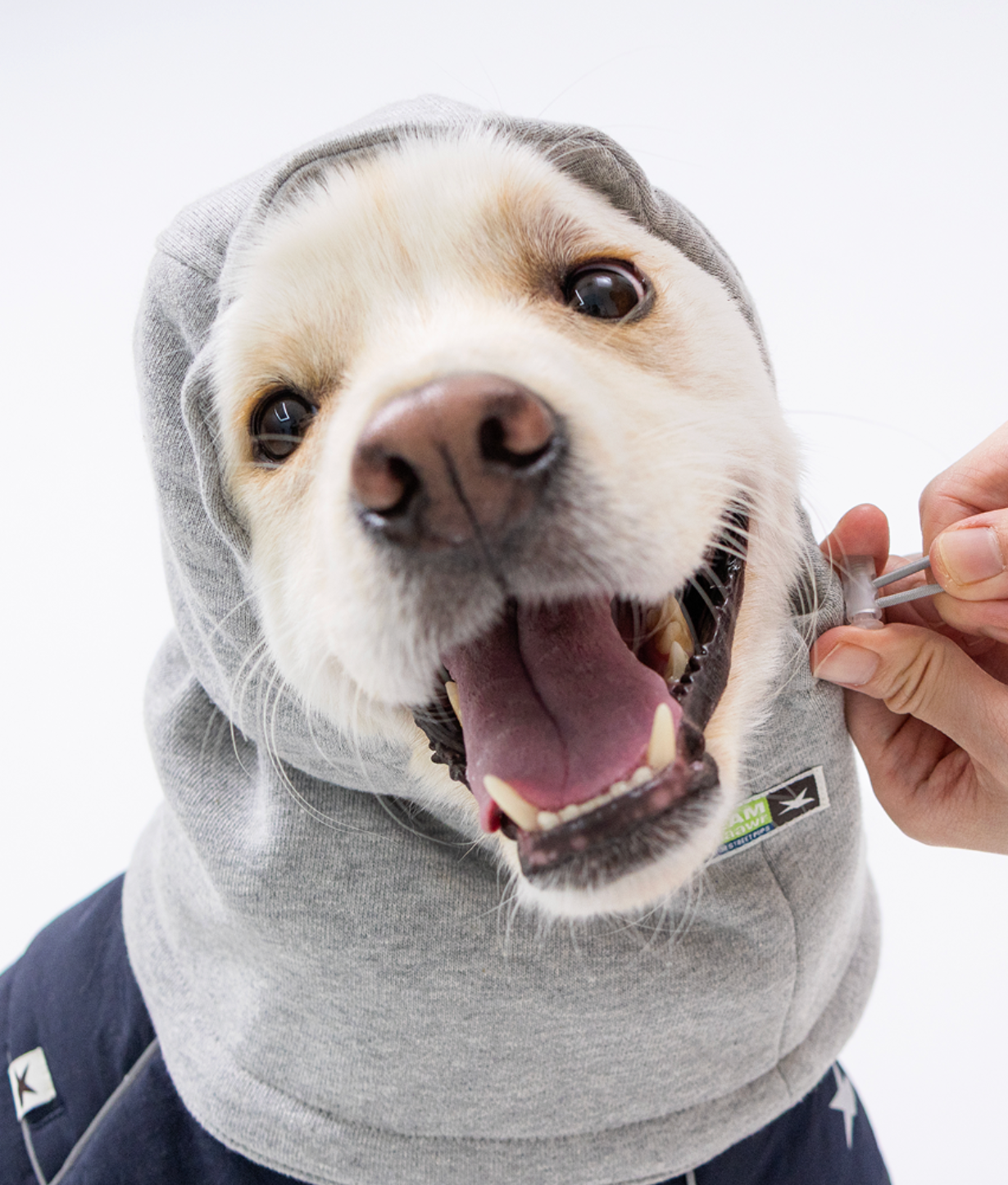 Paaawr｜Cotton Layer Balaclava 冬季保暖頭套（4色）