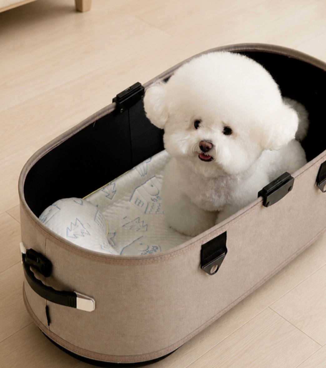 代購｜All Day Cooling Mat 全天候涼感墊（3 Sizes）